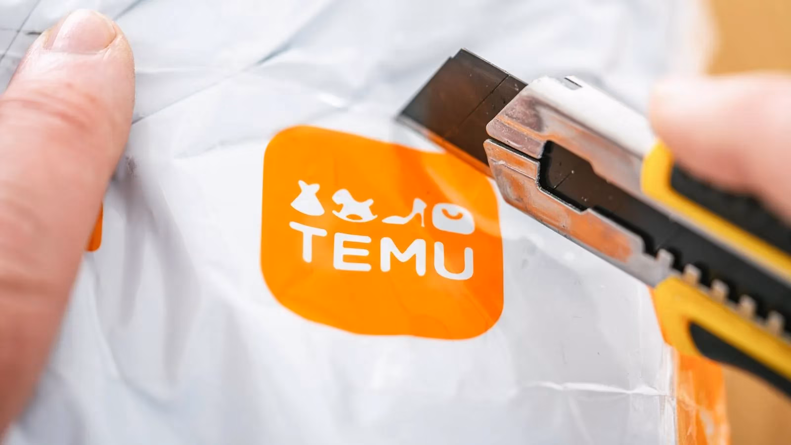 how-to-shop-temu-without-getting-scammed-a-cheeky-survival-guide-image-0